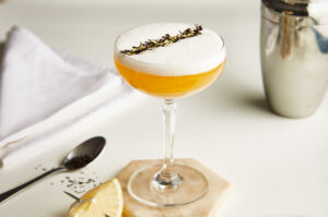 Cocktail Glass